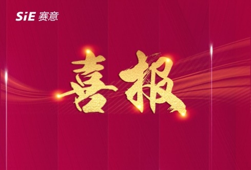 喜報|賽意信息入選上海閔行區“智能製造診斷服務商”